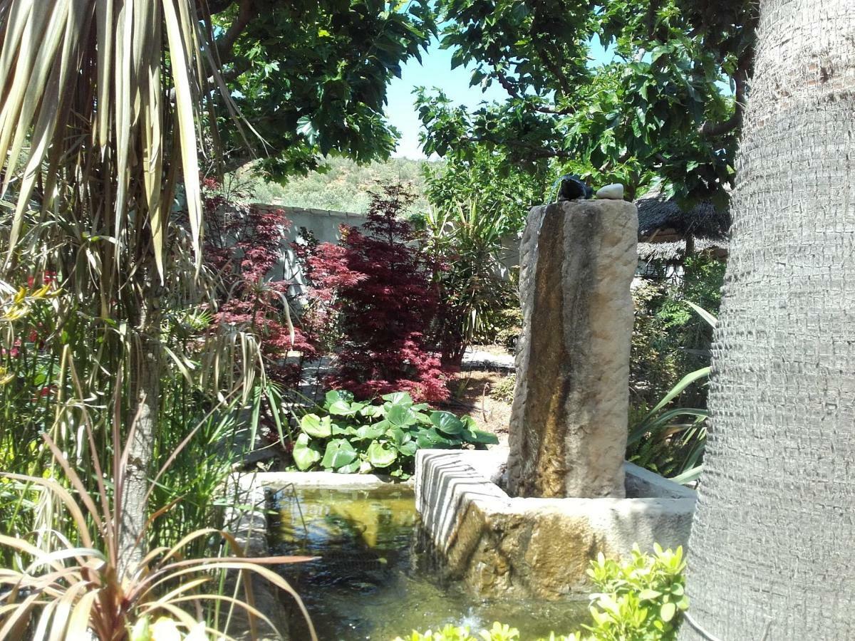 Studios Domaine L'Oliveraie Le Castellet  ภายนอก รูปภาพ